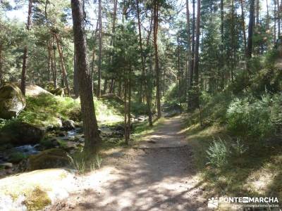 Pesquerías Reales y Fuentes de La Granja;grupo de montaña madrid grupo montaña madrid